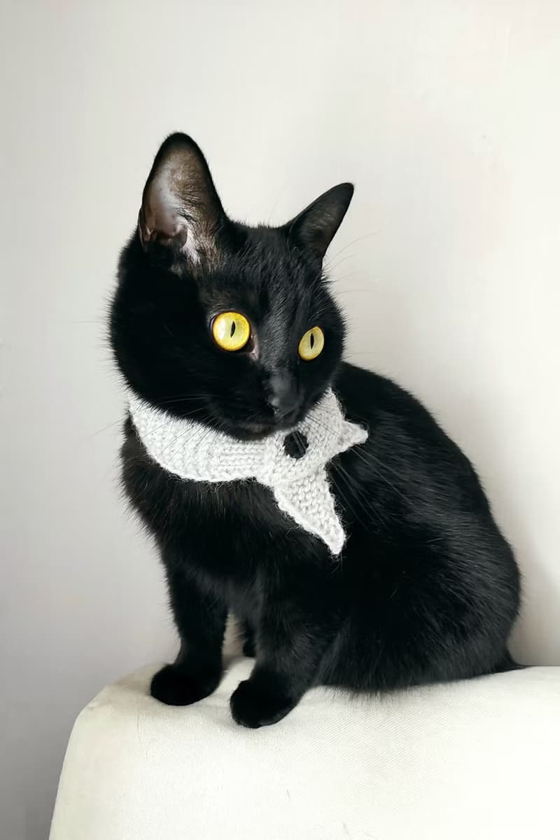 Scarf for pet Fish cat collar Pet cowl Hand knit neck warmer neck accessories