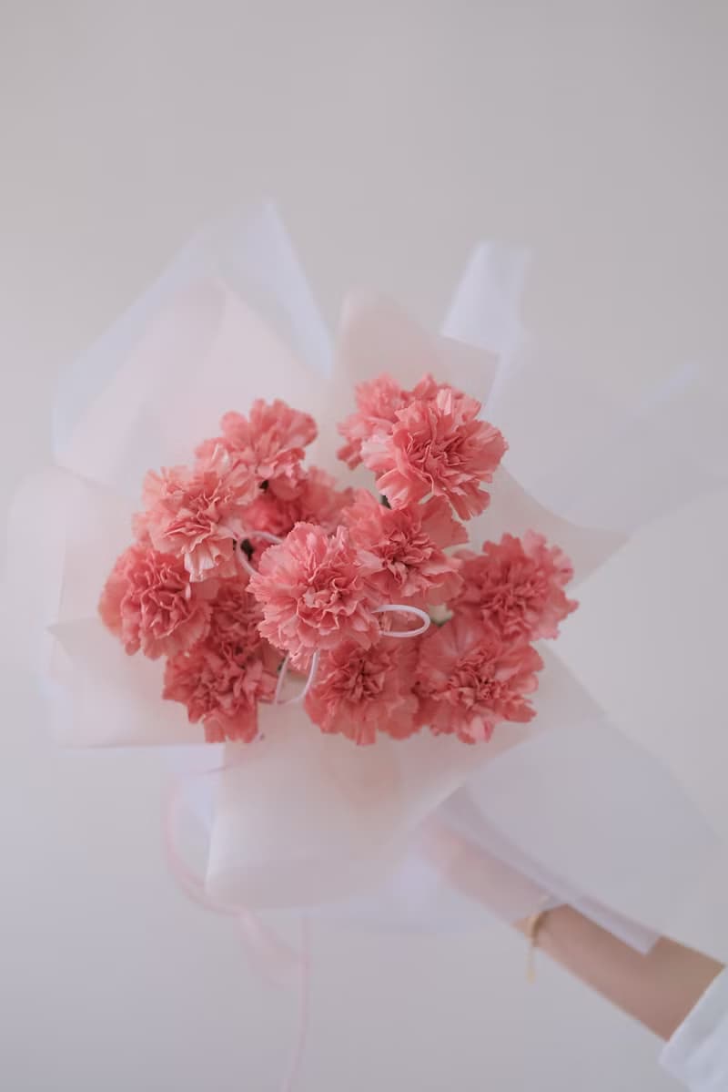 2025母親節花束 康乃馨 禮物 花束