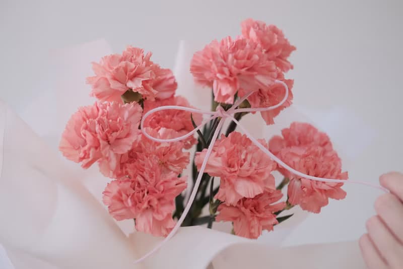 2025母親節花束 康乃馨 禮物 花束