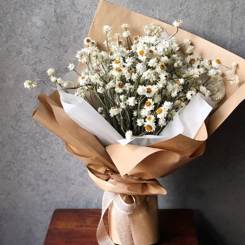 清新治癒 洋甘菊乾燥花束 | 疫情祝福 生日首選 | 台北可自取