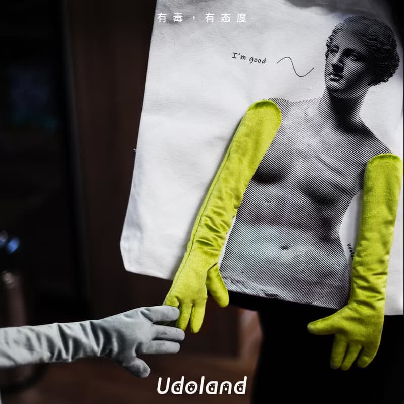 UDOLANDx織布云|原創聯名設計大衛維納斯大托特包