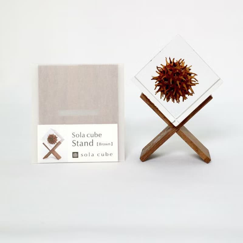 Sola cube 立方塊木質置物架(共2色)