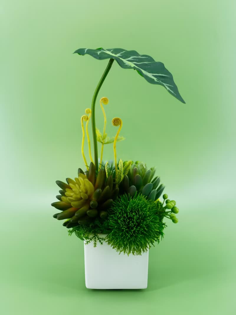 觀音蓮葉佛手蓮香氛植栽/擬真植物/人造盆栽/綠化/佈置/禮物