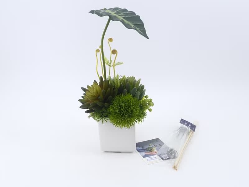 觀音蓮葉佛手蓮香氛植栽/擬真植物/人造盆栽/綠化/佈置/禮物