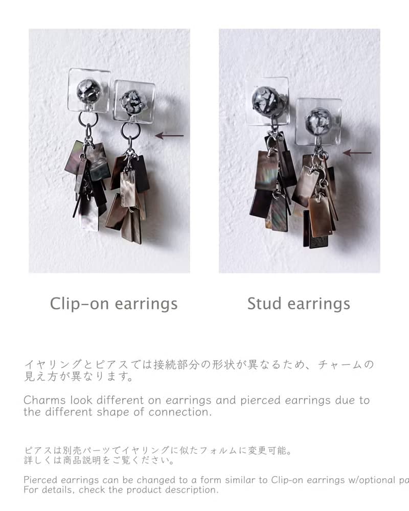 Bugs eye 2way earrings/ Interchangeable / macro view-black shell 醫療鋼耳環 夾式耳環 耳夾