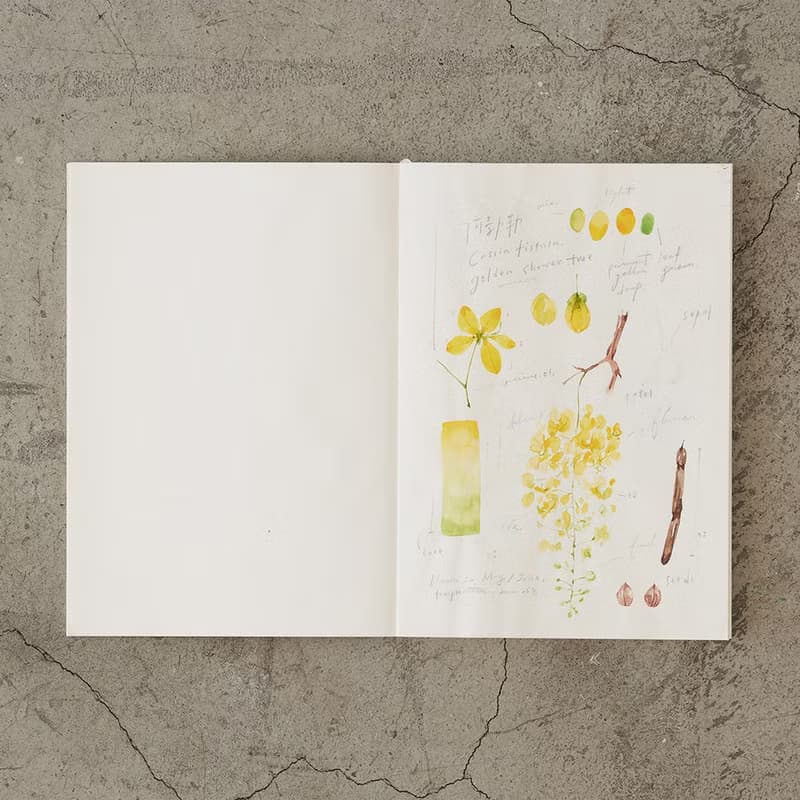 MIDORI MD Notebook 棉紙 A5 空白