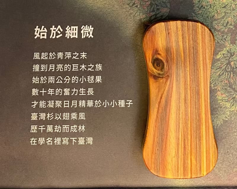 島嶼波浪 隨行盒 I原木I收納盒I牙線棒I棉花棒I潔牙棒I小飾品盒
