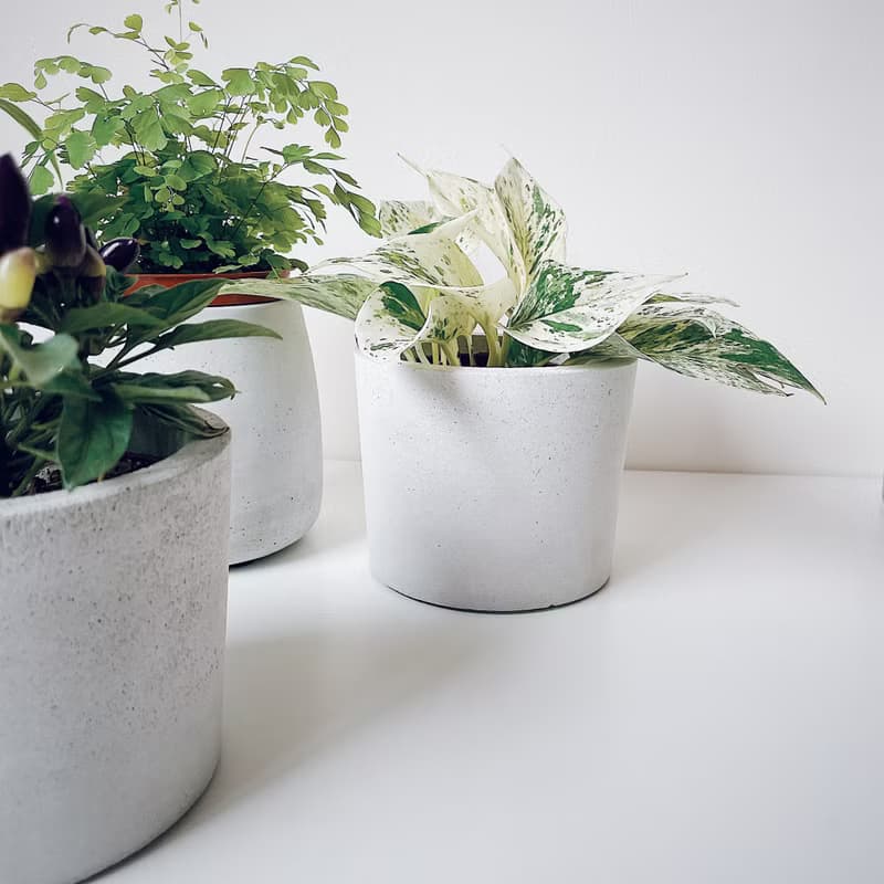 原生-水泥盆器/水泥空盆.可直接放入3吋盆