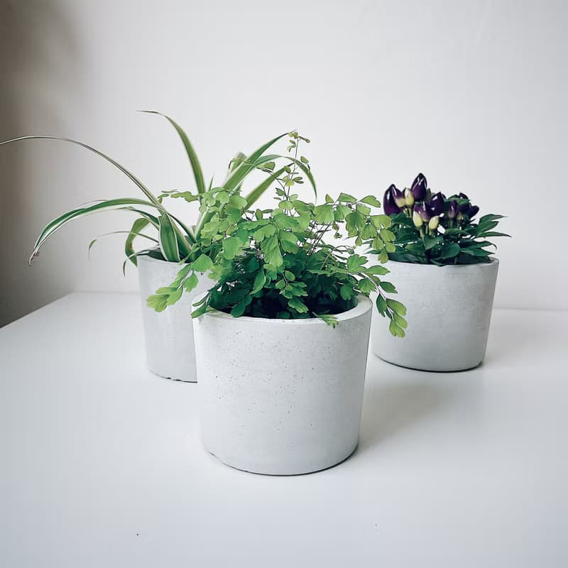 原生-水泥盆器/水泥空盆.可直接放入3吋盆