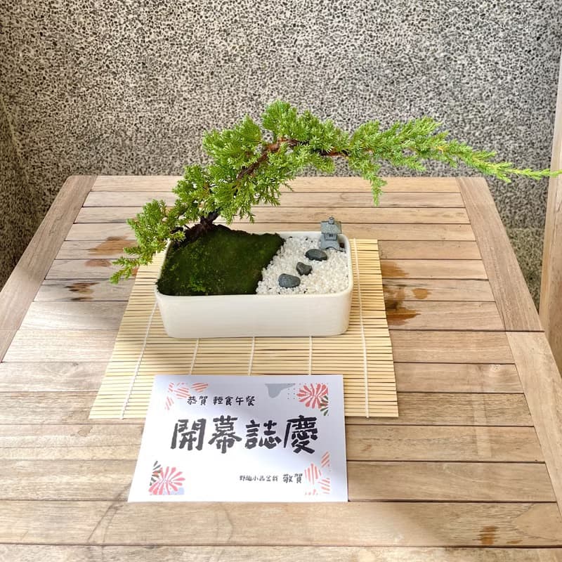 小品盆栽-日式庭院松組合 送禮 開幕15
