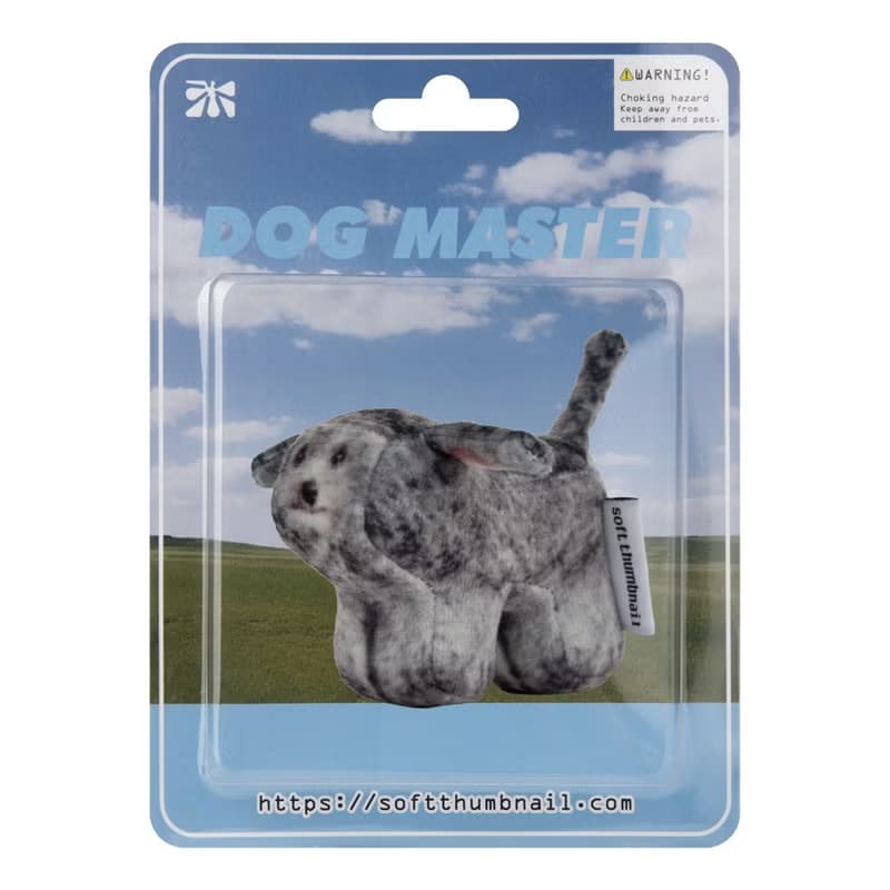 Kiki, Poodle