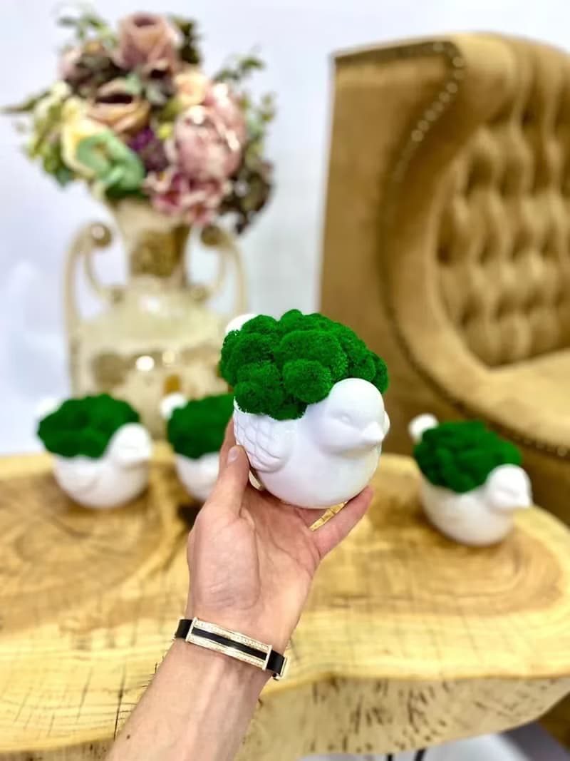 Flower pots, stabilized moss Bird