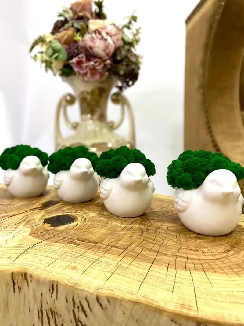 Flower pots, stabilized moss Bird