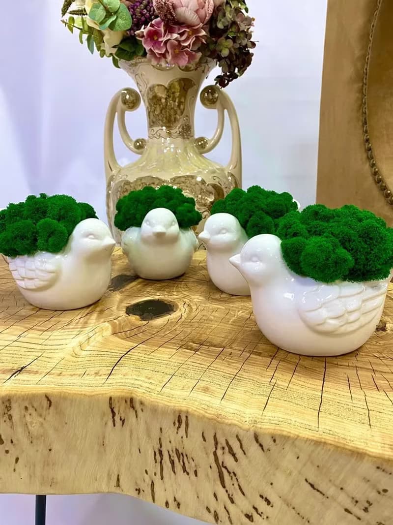 Flower pots, stabilized moss Bird