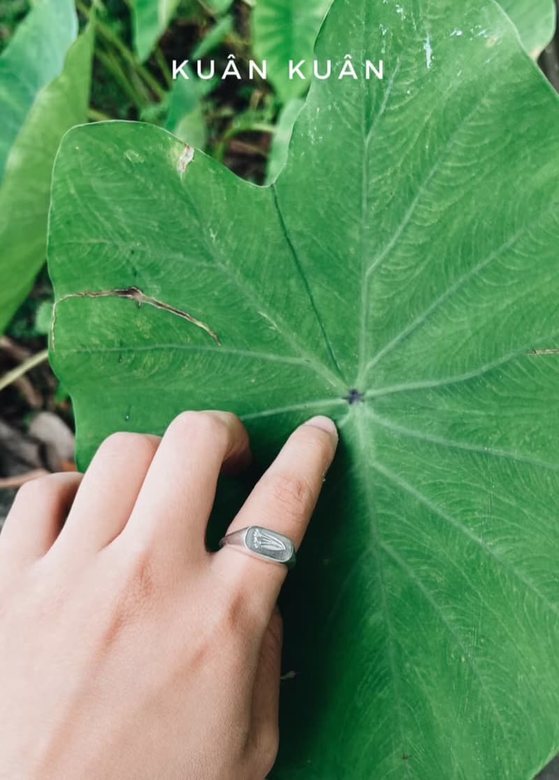KUÂN KUÂN 綠植系列 鬱金香 封蠟戒 純銀