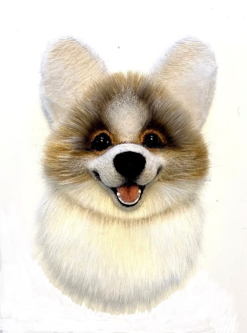 PDF教程。 为连指手套创建威尔士柯基犬应用程序的说明