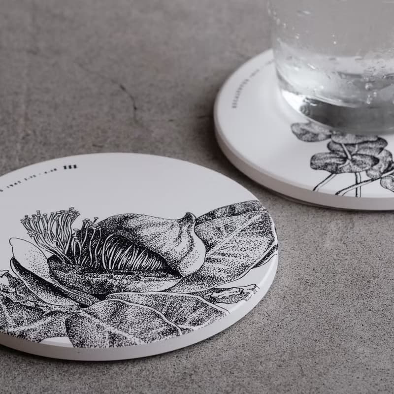 矽瓷吸濕杯墊 / 花果二入