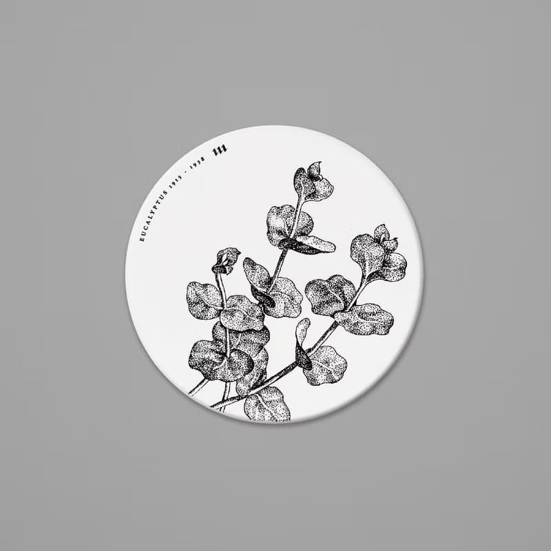 矽瓷吸濕杯墊 / 花果二入