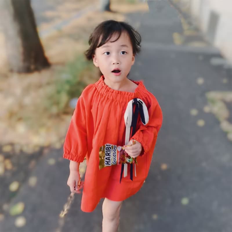 普羅旺斯田園彩帶洋裝