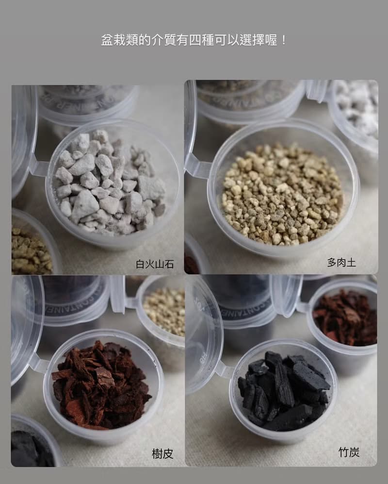 錦緞皮革迷你盆栽