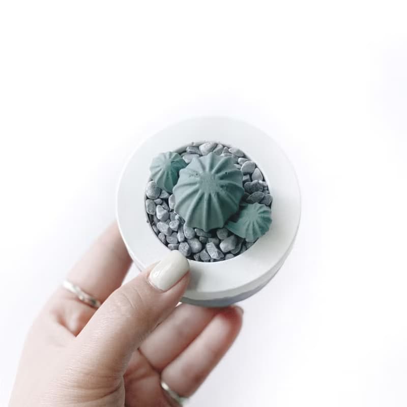 (預購) 莫蘭迪紫系列 | 仙人掌造型水泥擴香石組 辦公室懶人植栽