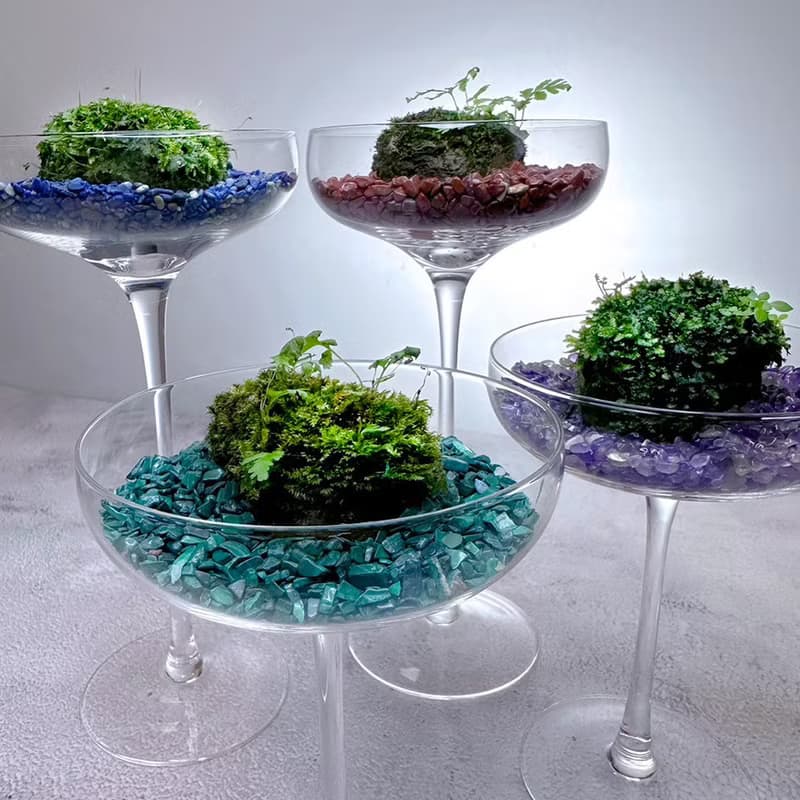 苔玉美學 - 苔蘚寶石彩虹杯