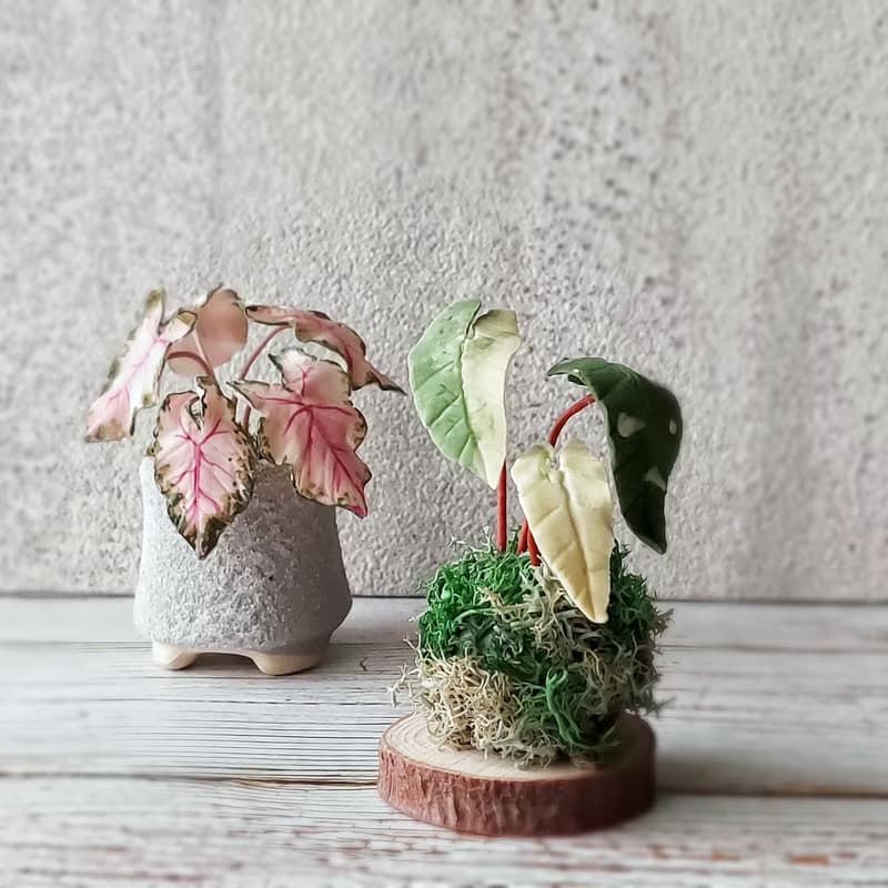 【體驗】擴香石植物捏塑 石膏捏塑小盆栽體驗課