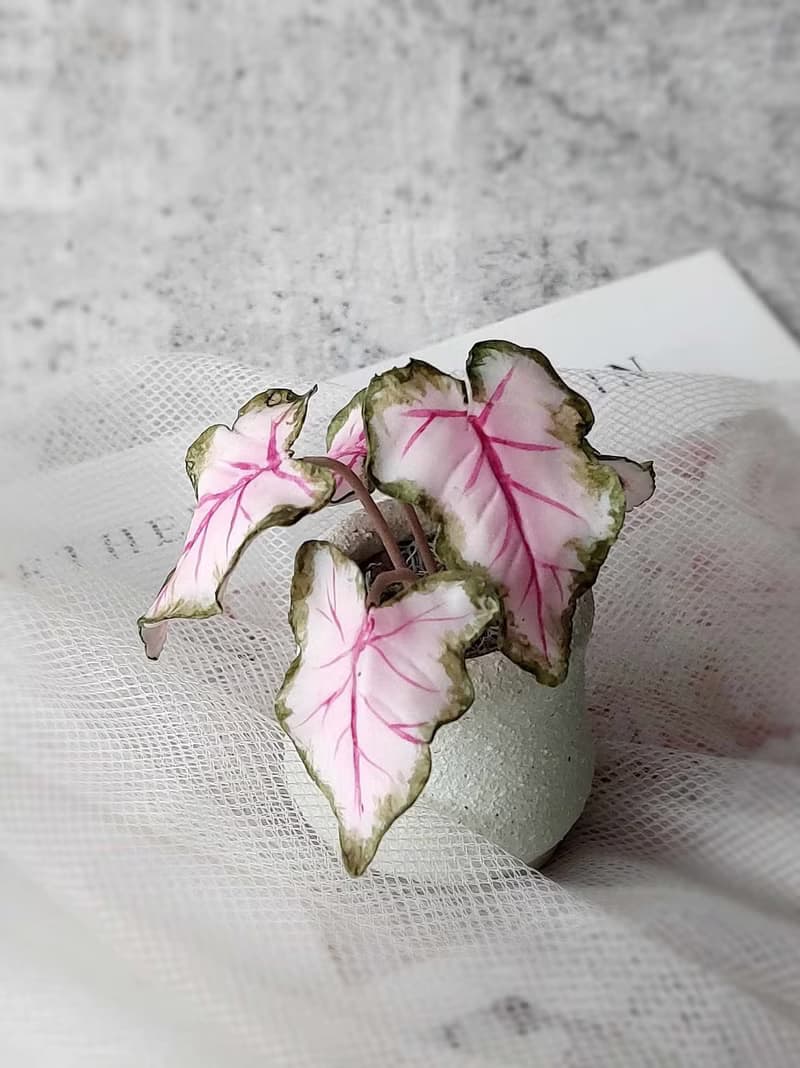 【體驗】擴香石植物捏塑 石膏捏塑小盆栽體驗課