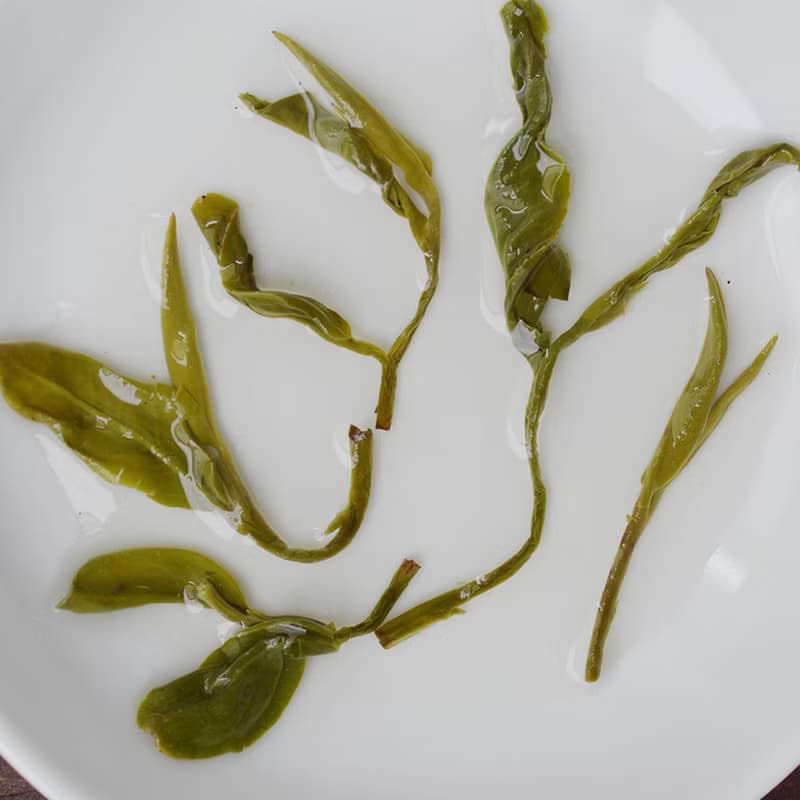 白毫碧螺春 - 自然栽培手採台灣頂級綠茶