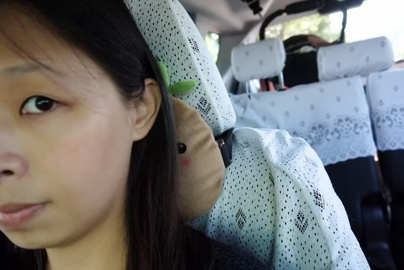 Bucute馬林鼠~汽車頸枕/手工/全球限量/禮物/汽車配件