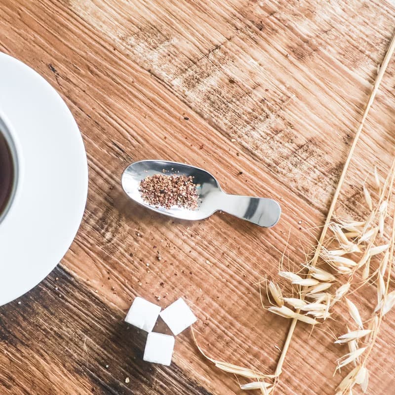 日本【SALUS 佐藤金屬】極簡茶葉匙