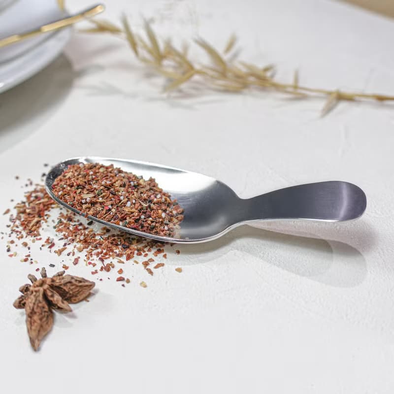 日本【SALUS 佐藤金屬】極簡茶葉匙