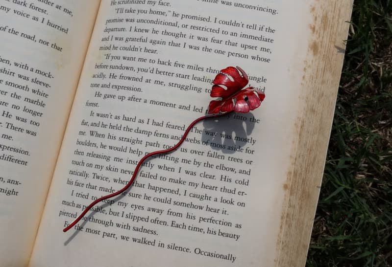 【訂製】龜背芋書籤|純手工|紅銅|植物書籤|手作禮物