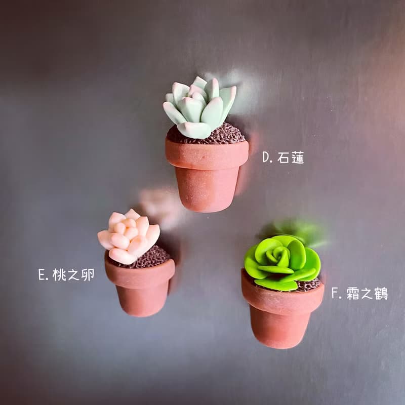 迷你多肉植物盆栽磁鐵_共6款。仿真黏土多肉植物