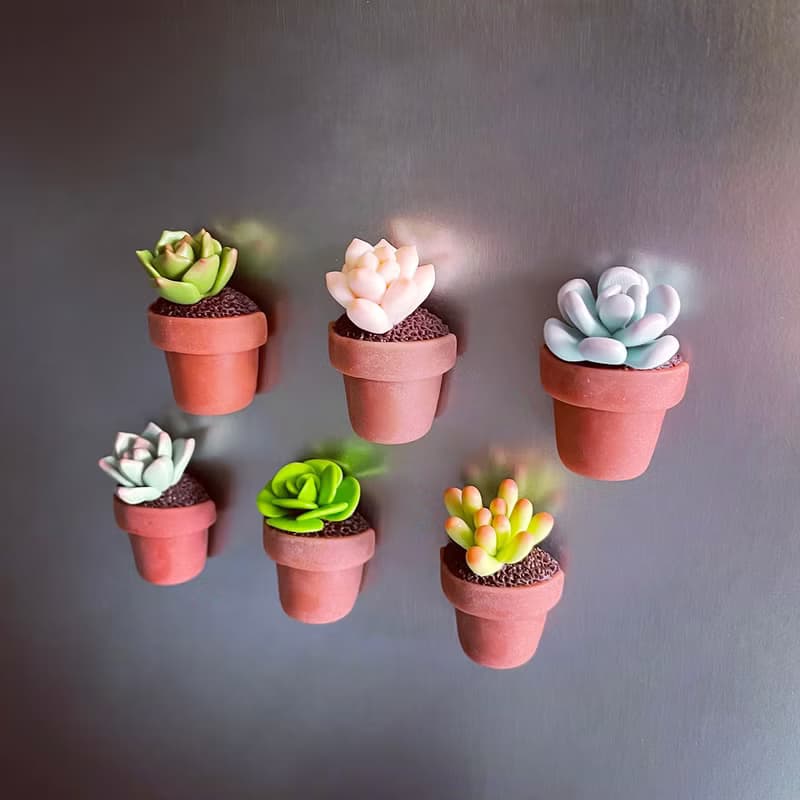 迷你多肉植物盆栽磁鐵_共6款。仿真黏土多肉植物