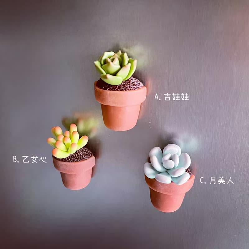 迷你多肉植物盆栽磁鐵_共6款。仿真黏土多肉植物