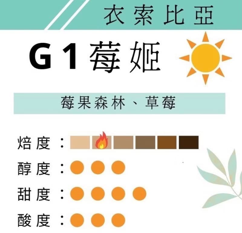 衣索比亞 G1 莓姬 日曬 衣索比亞 淺焙 自家烘焙 咖啡豆 鑠咖啡