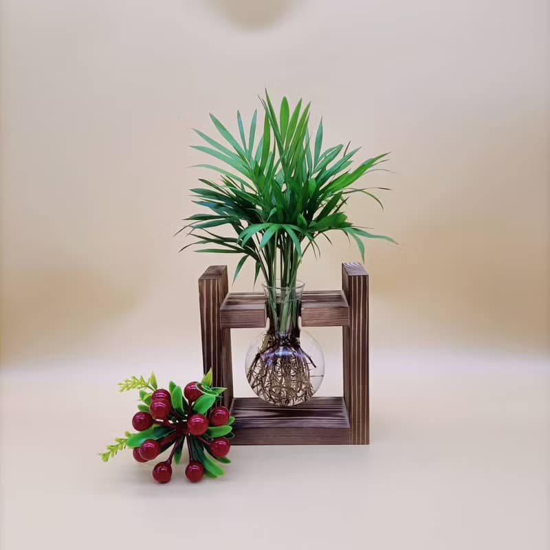 水培植物 袖珍椰子 淨化空氣 懶人植栽 創意木架 室內植物