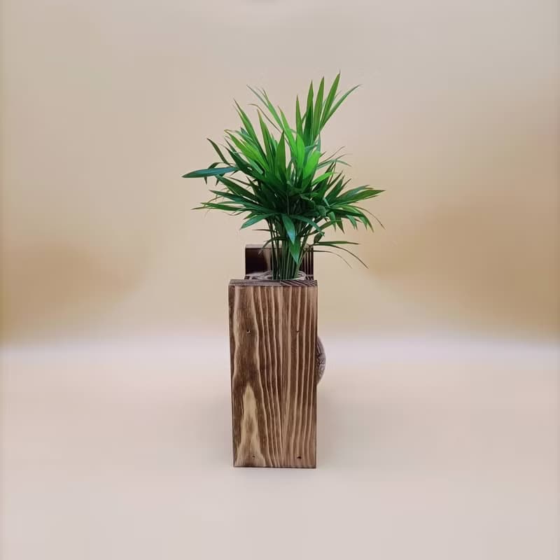 水培植物 袖珍椰子 淨化空氣 懶人植栽 創意木架 室內植物