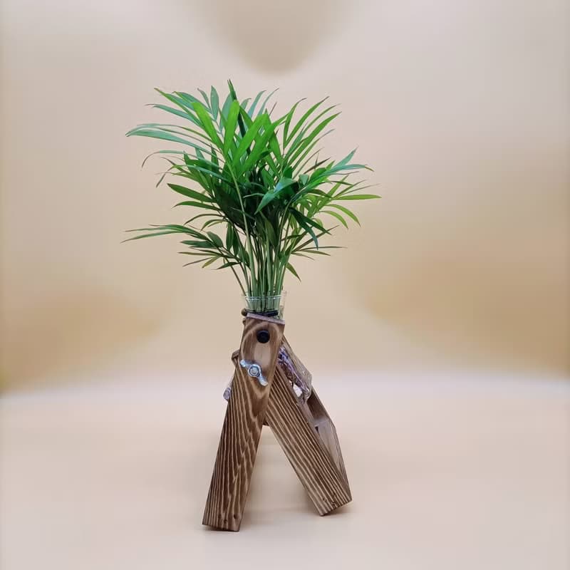 水培植物 袖珍椰子 淨化空氣 懶人植栽 創意木架 室內植物