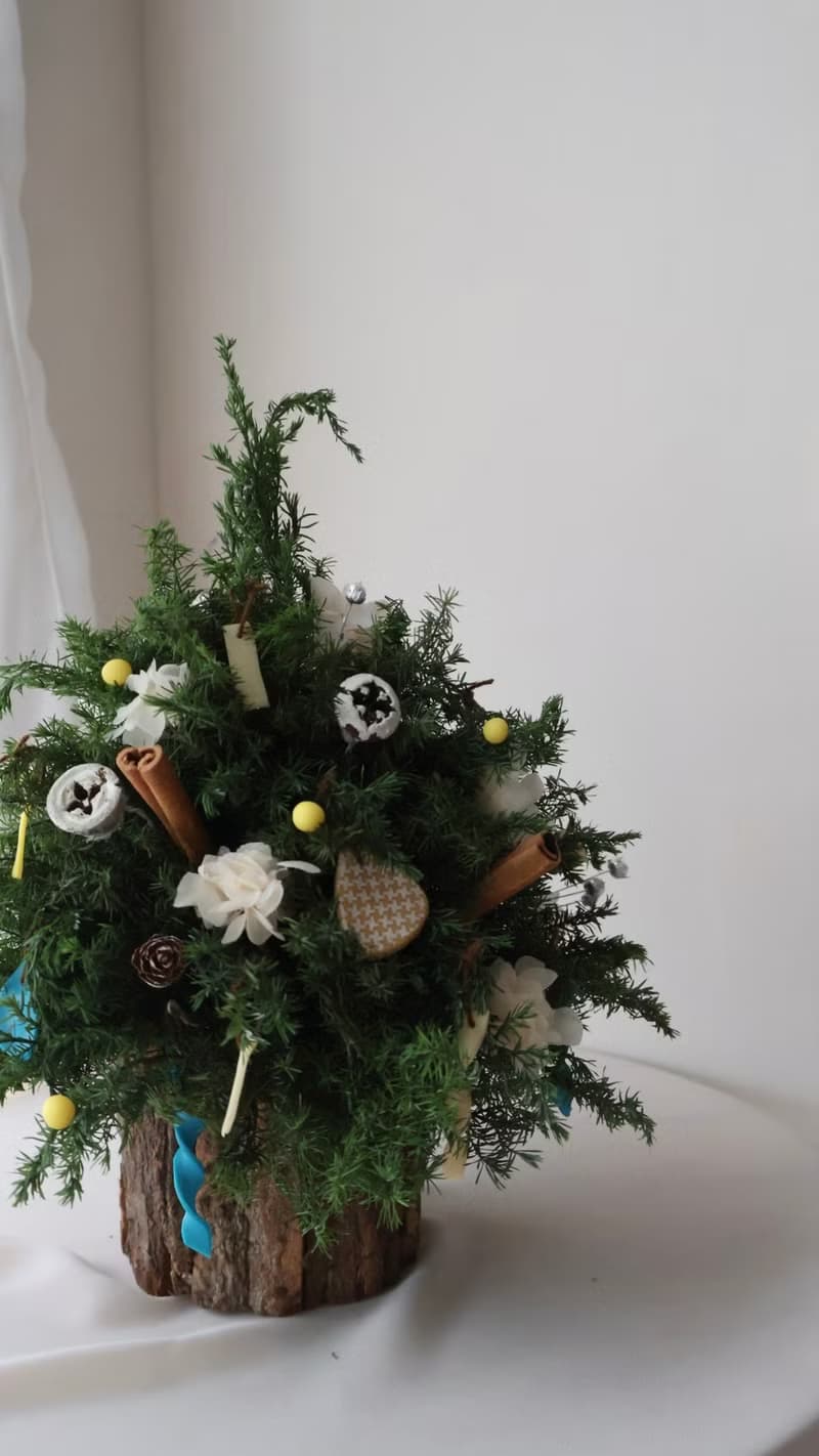撞色聖誕樹 聖誕花圈 聖誕禮物 交換禮物 聖誕佈置