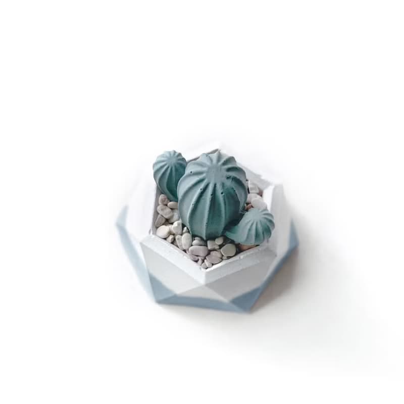 (預購)莫蘭迪藍系列 | 仙人掌造型水泥擴香石組合 辦公室懶人植栽