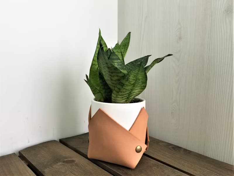 花盆套 // 皮革花盆套 // 喬遷 / 搬家禮物推薦 // 辦公桌點綴