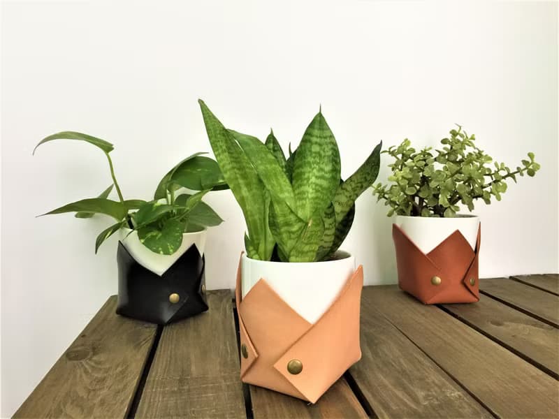 花盆套 // 皮革花盆套 // 喬遷 / 搬家禮物推薦 // 辦公桌點綴