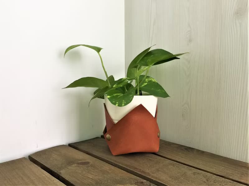 花盆套 // 皮革花盆套 // 喬遷 / 搬家禮物推薦 // 辦公桌點綴