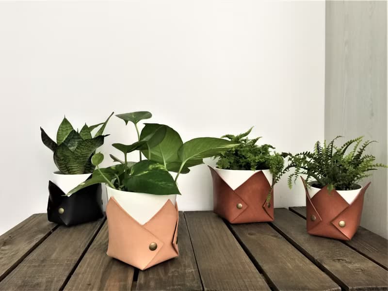 花盆套 // 皮革花盆套 // 喬遷 / 搬家禮物推薦 // 辦公桌點綴