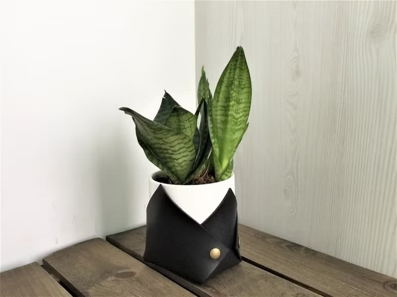 花盆套 // 皮革花盆套 // 喬遷 / 搬家禮物推薦 // 辦公桌點綴