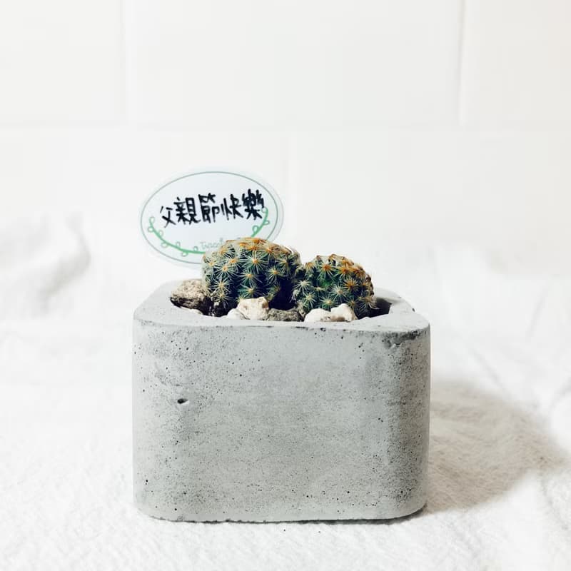 純粹系列-圓方泥盆/工業灰