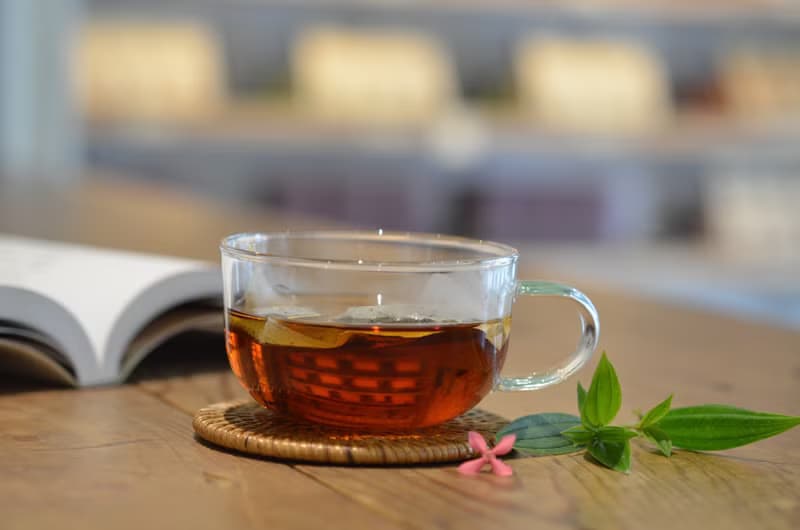 大紅帖袋茶(高山紅茶茶包/可冷泡)