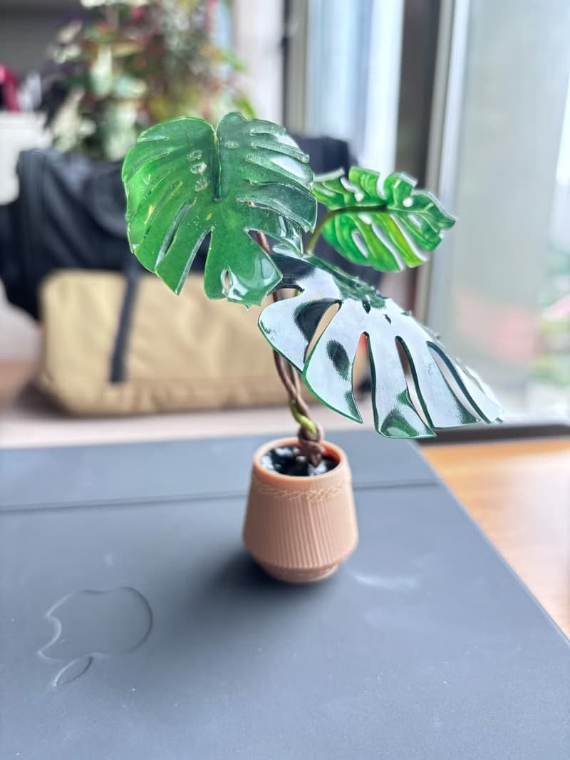 原創微縮龜背竹擺件